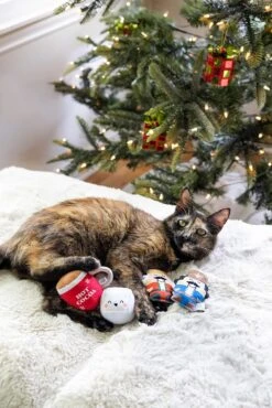 Pearhead Holiday Hot Cocoa Cat Toy Set, Cadeau Propriétaire D'animal De Compagnie De Noël, Accessoires Holiday Must Have, Jouet De Chat En Peluche, Set De 2 -Oui || N/A || pearhead 81dXXLtlluL. AC SL1500