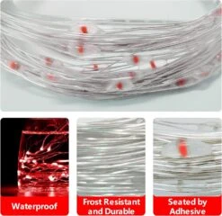 EvaStary LED Fée String Lumières, USB Alimenté Fil D'argent Cordes Lumières, 33ft 100 LED Rouge Fées Lumières Pour Chambre Intérieur Décor De Noël -Oui || N/A || pearhead 81eMS2P1KL. AC SL1500