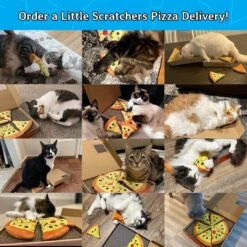 Petits Scratchers Pizza Cat Toys ( Grand ) - Comprend 6 Jouets Pizza Catnip & Épais Cardboard Cat Scratch Pad, Coffret Cat, Cadeaux Drôle Cat Pour Noël, Jouets D'anniversaire Cat, Jouets De Grattage De Chat Mignon 13 Petits Scratchers Pizza Cat Toys ( Grand ) - Comprend 6 Jouets Pizza Catnip & Épais Cardboard Cat Scratch Pad, Coffret Cat, Cadeaux Drôle Cat Pour Noël, Jouets D'anniversaire Cat, Jouets De Grattage De Chat Mignon -Oui || N/A || pearhead 81iCSfZqYKL. AC SL1080