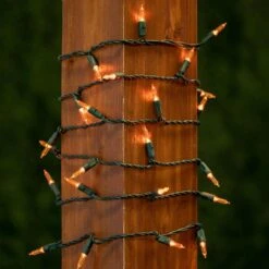 Lumières De Nouveauté Lampes à Cordes De Noël Ambre T5 LED - Ensemble De Lumière Intérieure / Extérieure Répertorié UL Avec 35 Mini Ampoules Pour Arbre De Noël, Terrasse, Décoration De Mariage - ( Fil Vert, 11,5 'long ) -Oui || N/A || pearhead 81nayeQrWSL. AC SL1500