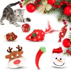 Jouets De Chat De Noël JUPSK 10 Pièces, Bas De Noël Avec Baguette De Chat Et Boules De Jouets, Jouet De Mastic Interactif De Noël Pour Chaton De Chats D'intérieur -Oui || N/A || pearhead 81oDcMzFLLL. AC SL1500