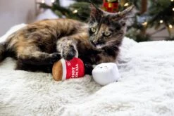 Pearhead Holiday Hot Cocoa Cat Toy Set, Cadeau Propriétaire D'animal De Compagnie De Noël, Accessoires Holiday Must Have, Jouet De Chat En Peluche, Set De 2 -Oui || N/A || pearhead 81pjZHyoMRL. AC SL1500