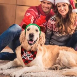 Chapeau De Noël Pour Chien De Noël 3D Réglable En 4 Pièces, écharpe De Noël Classique Pour Animaux De Compagnie Buffalo, Bande De Tête De Renne De Noël Avec Oreilles Accessoires De Costume Pour Animaux De Compagnie Pour Chiens Et Chats ( Style Vif ) 15 Chapeau De Noël Pour Chien De Noël 3D Réglable En 4 Pièces, écharpe De Noël Classique Pour Animaux De Compagnie Buffalo, Bande De Tête De Renne De Noël Avec Oreilles Accessoires De Costume Pour Animaux De Compagnie Pour Chiens Et Chats ( Style Vif ) -Oui || N/A || pearhead 81wHksMcD0L. AC SL1500
