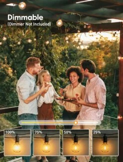 Feux De Chaîne D'extérieur 25 Pieds G40 Feux De Patio LED Avec 13 Ampoules En Plastique Edison ( 1 Pièce De Rechange ), Lumières De Noël Suspendues Connectables étanches Pour La Décoration De Noël De La Fête Du Balcon Du Porche Arrière-cour, Noir -Oui || N/A || pearhead 81wUidHl7pL. AC SL1500