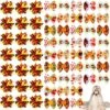 Weewooday 70 Pièces Chiens Cheveux Chien Arcs Avec Bande En Caoutchouc Chien Bowtie Pet Accessoires De Cheveux Chiot Bowknot Topknot Pet Toilettage Arcs Pour Jour De L'Indépendance Noël Petit Chiot Decor(Elegant Style) -Oui || N/A || pearhead 91Jm3Cs76UL. AC SL1500