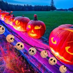 SOTOPOO Halloween Lumières Jack Skellington Lumières, 8.5FT Squelette Lumières Avec 10 DIY Lanternes En Papier Avec Lumières, Pour Halloween Home Party Décor & Cauchemar Avant Noël Halloween Décorations -Oui || N/A || pearhead 91lBzrOofkL. AC SL1500