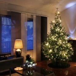 Feux Clairs Holiday Essence 300 Mini, Feux De Noël Pour Une Utilisation Décorative Intérieure Et Extérieure, Fil Vert, UL Listé -Oui || N/A || pearhead 91lp2vYwtmL. AC SL1500