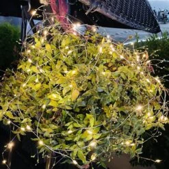 Plug USB ITICdecor Fairy String Light 4Pack 10M100 LED Plug In Copper Wire String Lights Télécommande Pour Chambre Extérieure Intérieure Noël Noël Halloween Party Decorations (blanc Chaud) -Oui || N/A || pearhead A1IPVVTalVS. AC SL1500